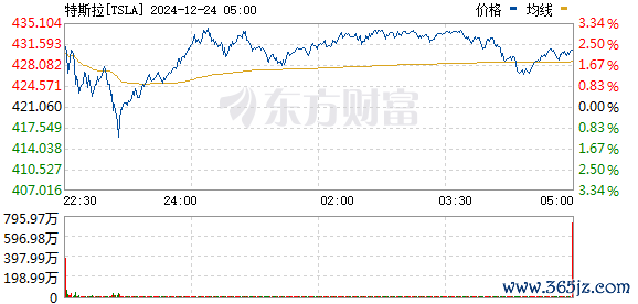 R图 TSLA_0